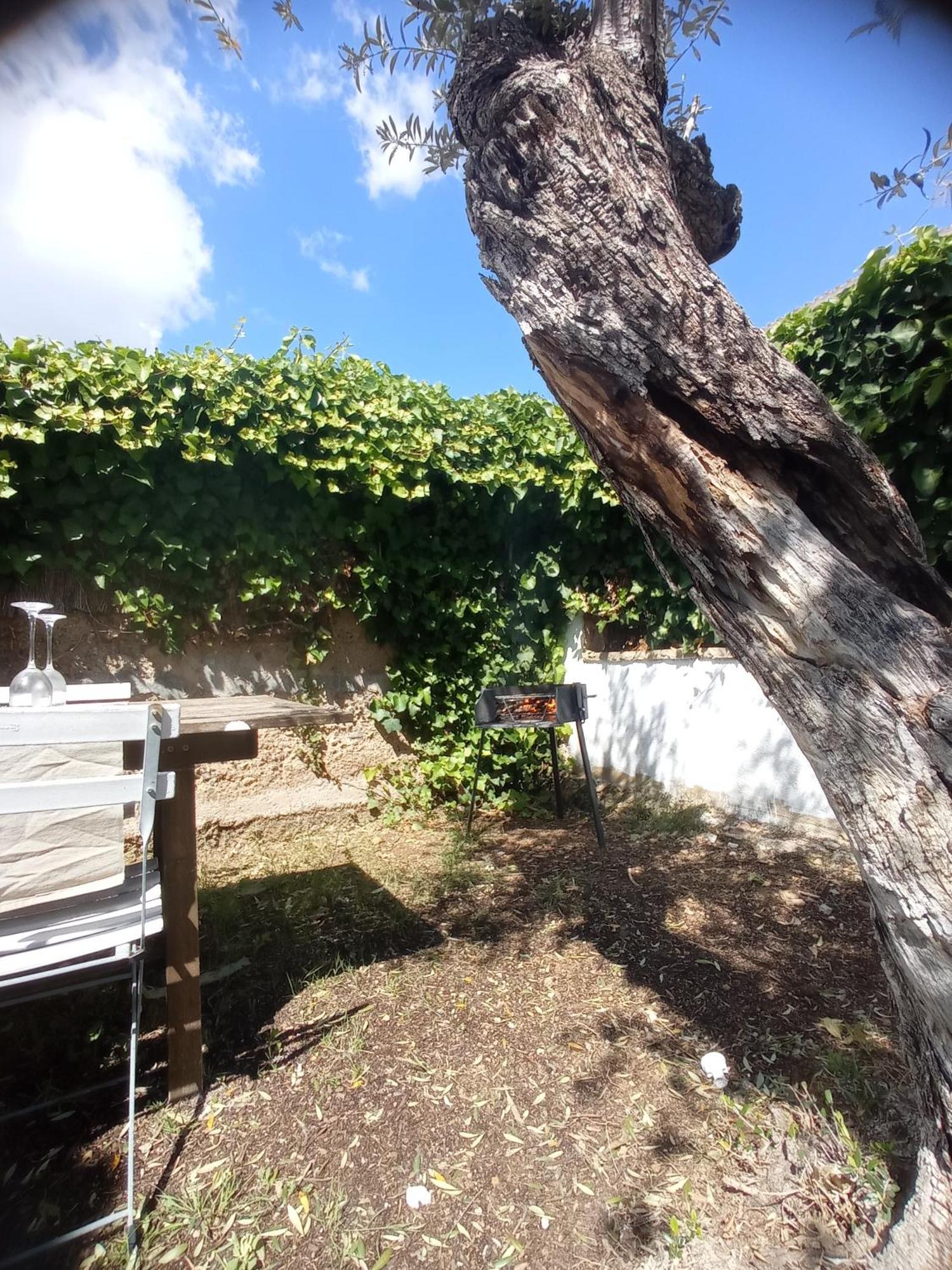 Ca La Torreta Daire Torredembarra Dış mekan fotoğraf